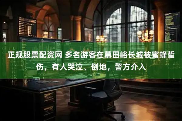 正规股票配资网 多名游客在慕田峪长城被蜜蜂蜇伤，有人哭泣、倒地，警方介入